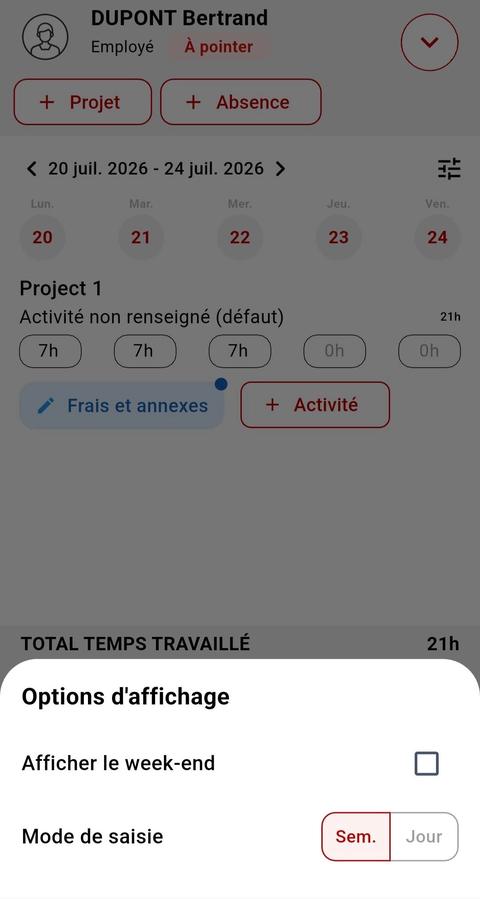 Panneau Options d'affichage avec la case Afficher le week-end décochée