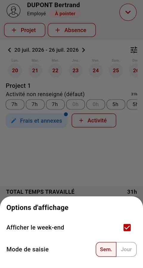 Panneau Options d'affichage avec la case Afficher le week-end cochée